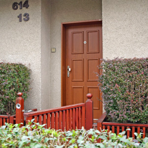 ADLO - Bezpe�nostn� Termo dvere TEDUO, Li�tov� LB 350, povrch Geta 656, oblepen� z�rub�a