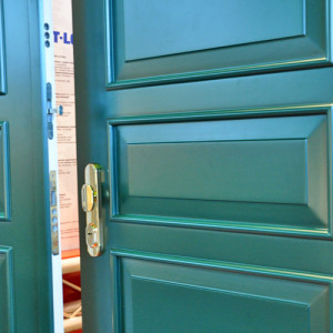 ADLO - Bezpe�nostn� dvere ARDEN, atypick� kazetov� tvar, povrch Color, dvojkr�dlov�