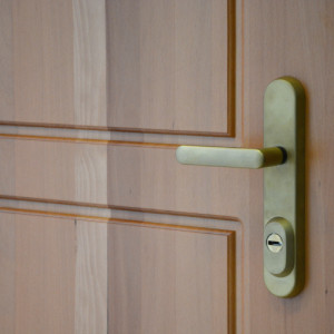 ADLO - Bezpe�nostn� dvere TEDUO, Profilov� F 200, povrch dver� obojstranne pr�rodn� Mas�v