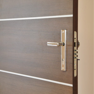 ADLO - Bezpenostn dvere Teduo, atyp povrch na zkazku, vchod do bytu