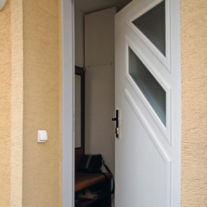 ADLO - Bezpe�nostn� Termo dvere JUBEO, presklen� P453, trojsklo, povrch dver� Geta 242, sklo Spotlyte