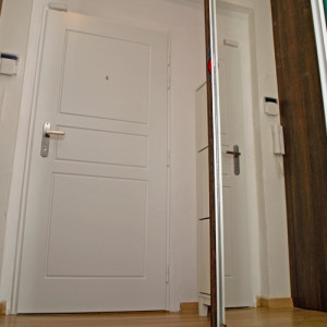 ADLO - Bezpe�nostn� dvere ADUO, profilov� design F250, povrch dver� a z�rubne Color RAL 9003