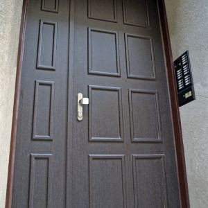 ADLO - Exterirov Termo dvojkrdlov dvere ADUO - vstup do bytovho domu, Litov LB 351
