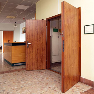 ADLO - Bezpenostn dvere LISBEO, dvojkrdlov 75x75cm, hladk design, povrch dver DR354