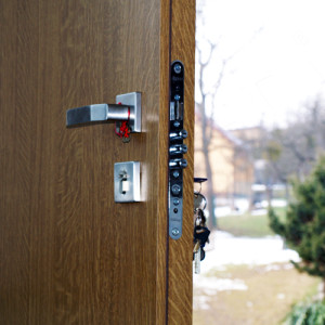 ADLO - Bezpenostn dvere ARDEN, vchodov TERMO dvere do domu, rozetov kovanie