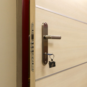 ADLO - Bezpe�nostn� dvere TEDUO, li�tov� atyp, vchodov� dvere do bytu, Drevodekor ADLO z�rub�a