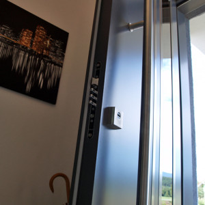 ADLO - Bezpe�nostn� Termo dvere Tesim, Presklen� PS370, atyp madlo, povrch dver� RAL 7015