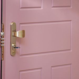 Exteri�rov� Termo dvere TEDUO, profilov� design F251, povrch dver� RAL 3015, do bytu