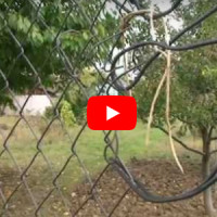 Záhradné chatky z pohľadu ich zabezpečenia Záhradné chatky z pohľadu ich zabezpečenia