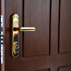 ADLO - Bezpe�nostn� dvere ZENEX, profilov� F155, povrch dver� pr�rodn� lakovan� Dyha