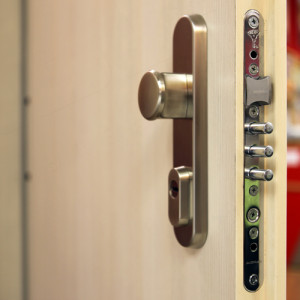 ADLO - Bezpenostn dvere Teduo, povrch dver Javor, bezpenostn kovanie Fest Chrm Celomat