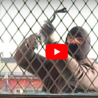 Svetlík ADLO presklený s bezpečnostnou mrežou Svetlík ADLO presklený s bezpečnostnou mrežou