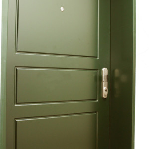 ADLO - Bezpe�nostn� dvere ADUO, profilov� design F250, povrch dver� a z�rubne Color RAL 6009