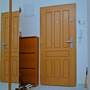 ADLO - Bezpe�nostn� dvere Aduo, design Profilov� F320 Dyha DUB, bezpe�nostn� p�ka na dvere