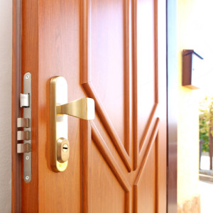 ADLO - Exteri�rov� Termo dvere Lisbeo, design Li�tov� LOG 402, povrch dver� a l�t G656