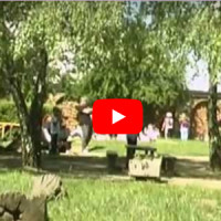 Bezpečné bývanie z pohľadu okien, balkónov... Bezpečné bývanie z pohľadu okien, balkónov...