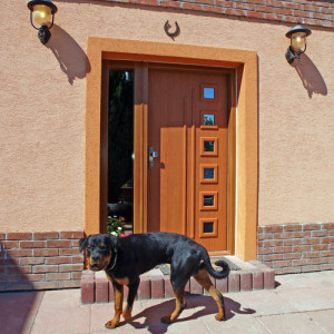 ADLO - Exteri�rov� Termo dvere Teduo, Presklen� PS552, Bo�n� svetl�k, Drevodecor z�rub�a