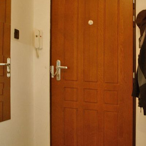 ADLO - Bezpe�nostn� dvere ZENEX, Profilov� F 321, povrch Mas�v, bezpe�nostn� retiazka na dvere