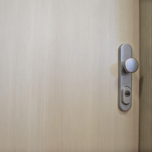 ADLO - Bezpenostn dvere ADUO, design hladk, Drevodekor ADLO zruba PINIA