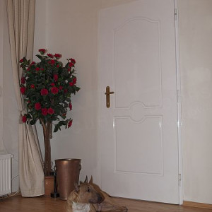 ADLO - Bezpe�nostn� dvere TEDUO, profilov� Color F152, do Exteri�ru, protihlukov�