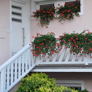 ADLO - Bezpe�nostn� dvere TEDUO, NOBLESSE, Gloria 004, Termo Exteri�r, rozmer 225cm x 100cm