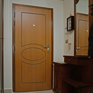 ADLO - Bezpe�nostn� dvere Zenex, design Profilov� F-153, Povrch Dyha DUB, Drevodekor z�rubne Rustica