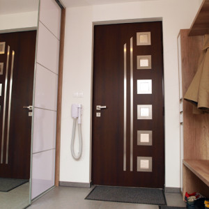 ADLO - Bezpe�nostn� Termo dvere Kasim, Presklen� PS552, rozetov� kovanie, li�ty Anticoro