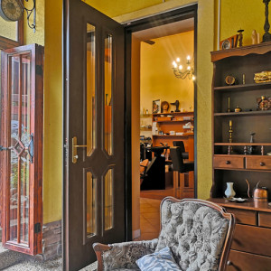 ADLO - Exteri�rov� Termo dvere Teduo, Presklen� PS421, pancierov� sklo Stopsol - bronz, v��ka dver� 235 cm