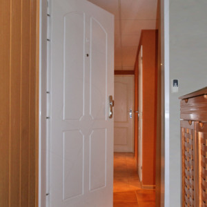 ADLO - Bezpe�nostn� dvere TESIM, Profilov� F154, Color RAL 9003 , vchodov� dvere do bytu