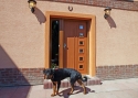 ADLO - Exteriérové Termo dvere Teduo, Presklené PS552, Bočný svetlík, Drevodecor zárubňa