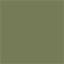 RAL 6013