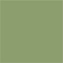 RAL 6021