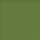 RAL 6025