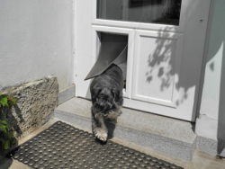Example of a door-in-door solution for a pet - view from the outside
