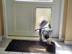 Example of a door-within-a-door for a pet  view from the inside
